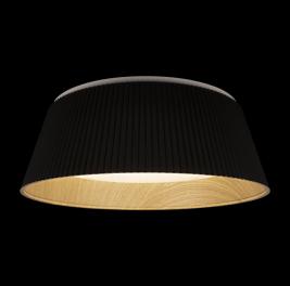 Потолочный светильник Loft IT Evans 10224 Black