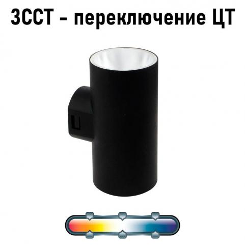 Настенный уличный светильник Arte Lamp Alcyone  A6109AL-2BK