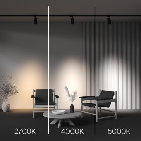 Трековый светильник Maytoni Technical Trinity  2700-5000K Focus Led TR197-3-30WCCT-M-B